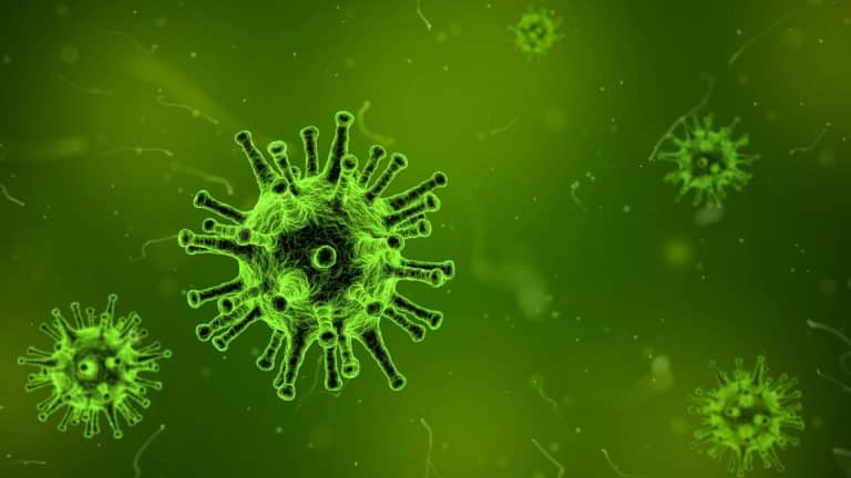 Cette pince laser permet d&rsquo;attraper les virus