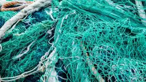 Un filet de pêche intelligent testé en Bretagne Un filet de pêche intelligent testé en Bretagne