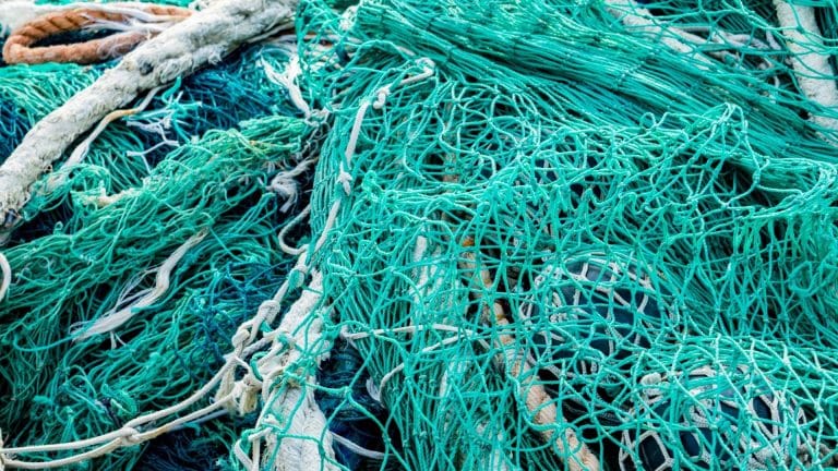 Un filet de pêche intelligent testé en Bretagne