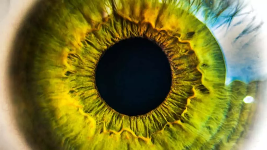 Une prothèse oculaire imprimée en 3D