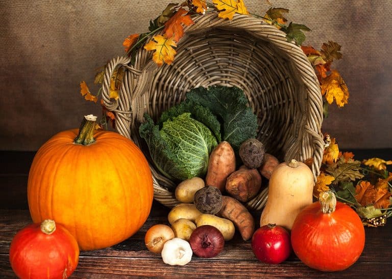 Cuisine : des applications pour vous aider à choisir des produits de saison
