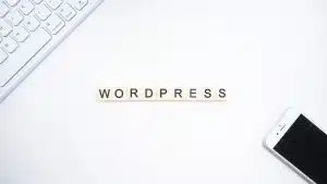 Comment faire une analyse de son site WordPress ?