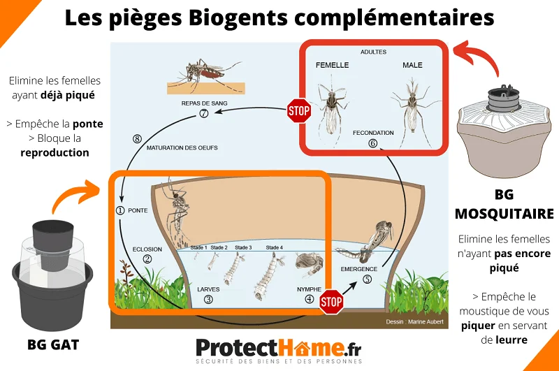 pièges à moustique efficaces