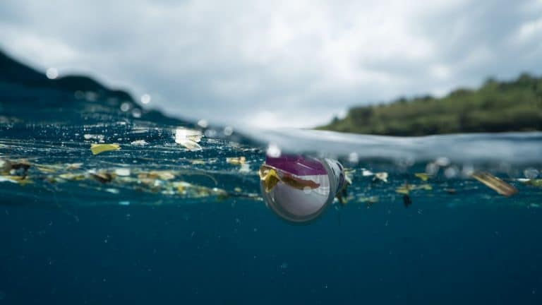 Ce robot solaire éradique les déchets dans les océans