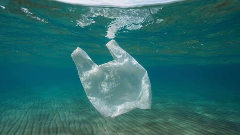Des bouées autonomes pour ramasser les déchets dans les rivières
