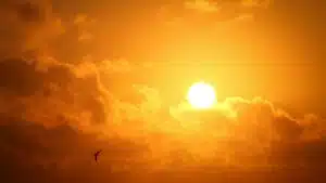 Une moto solaire à l’autonomie illimitée ! Une moto solaire à l'autonomie illimitée !