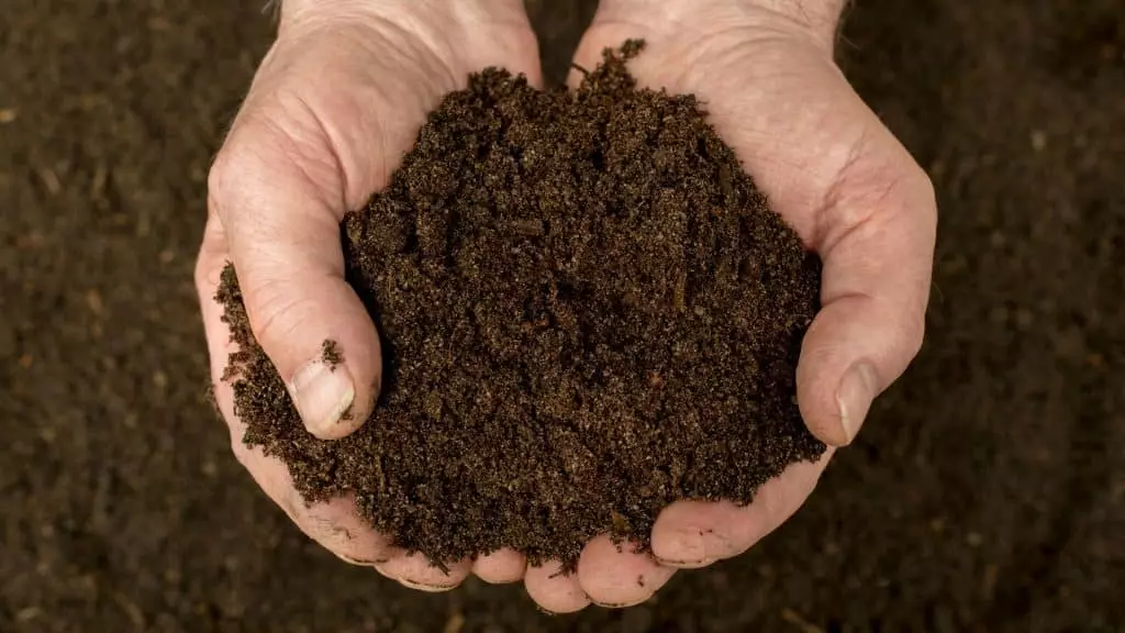 La Californie autorise le compost humain La Californie autorise le compost humain
