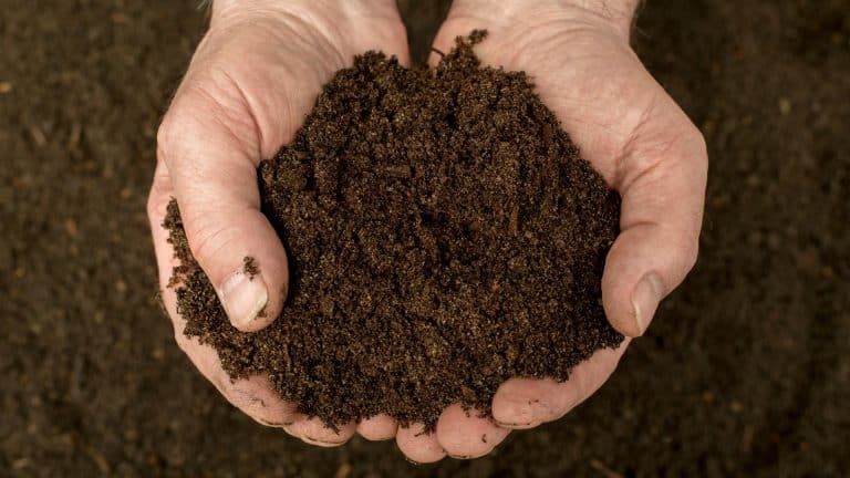 La Californie autorise le compost humain