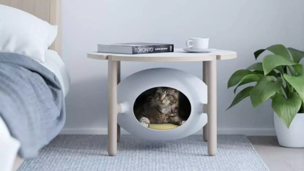 On a trouvé la maison idéale pour votre chat ! On a trouvé la maison idéale pour votre chat !