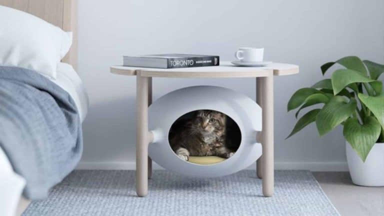 On a trouvé la maison idéale pour votre chat !