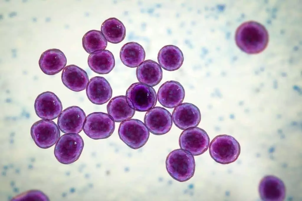 L'intelligence artificielle révolutionne le monde médical : une nouvelle classe d'antibiotiques découverte pour combattre la résistance bactérienne