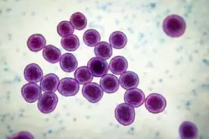 L'intelligence artificielle révolutionne le monde médical : une nouvelle classe d'antibiotiques découverte pour combattre la résistance bactérienne