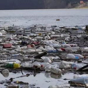 Le grand ménage des mers : une nouvelle économie au service de la dépollution marine Le grand ménage des mers : une nouvelle économie au service de la dépollution marine