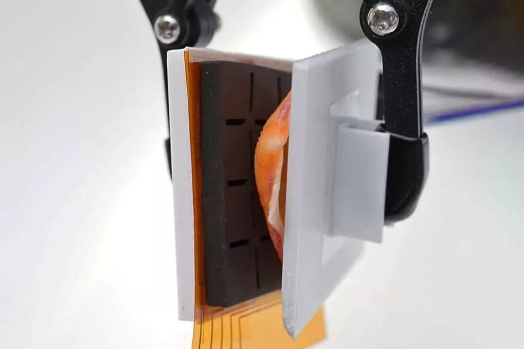 Un robot sensible au toucher : une nouvelle solution pour nettoyer les océans sans porter atteinte à la faune marine