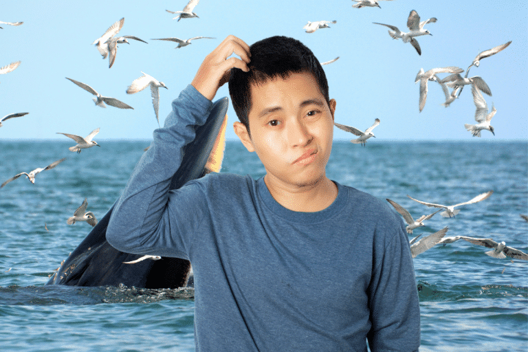 Ce récent vaisseau baleinier japonais débute sa première campagne de chasse en mer