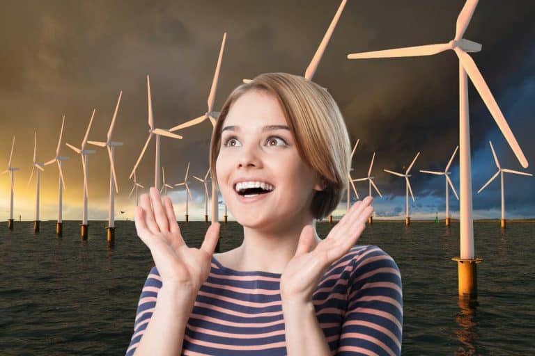Premier parc éolien flottant du Morbihan : voici les entreprises qui vont le construire