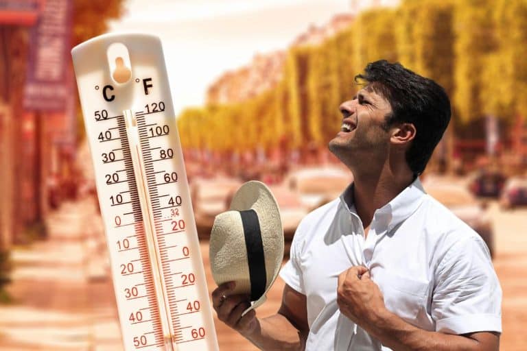 Low-tech : cette solution dingue pour lutter contre la canicule en milieu urbain