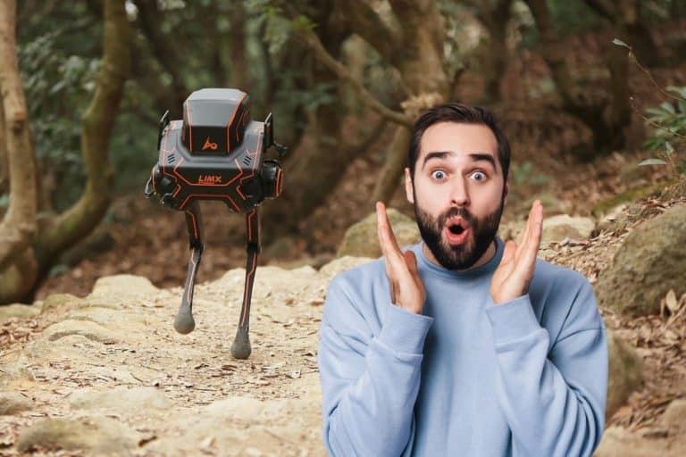 Découvrez pourquoi ce robot chinois ne tombe jamais