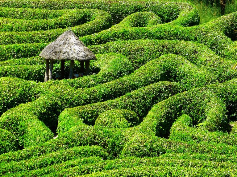 Ce labyrinthe théorique pourrait-il vraiment aider à capturer le CO2 et sauver notre planète