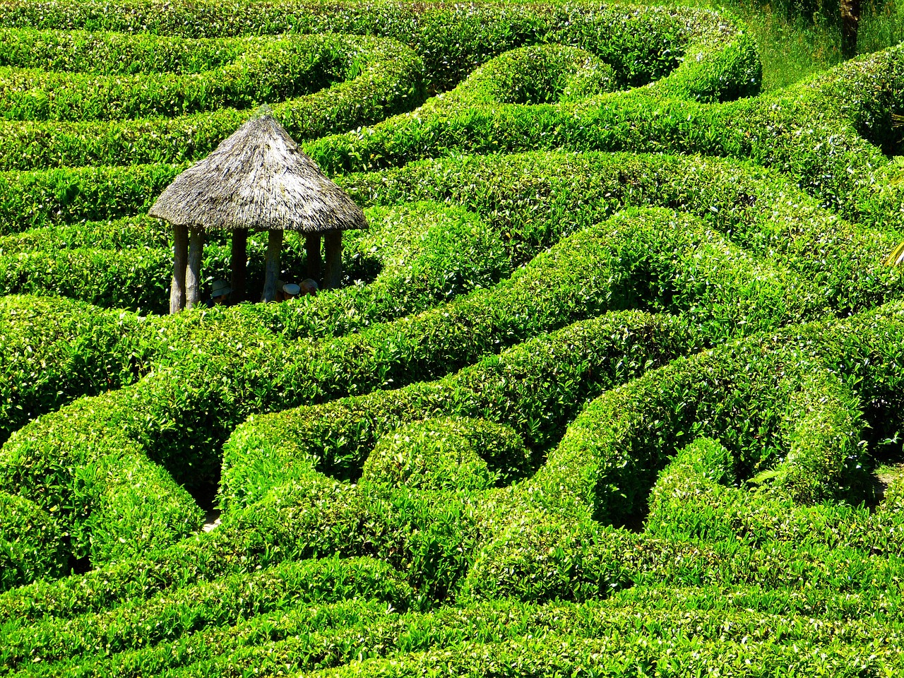 Ce labyrinthe théorique pourrait-il vraiment aider à capturer le CO2 et sauver notre planète
