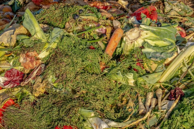 Découvrez comment ce simple thé de compost oxygéné pourrait révolutionner votre jardin et vos plantes