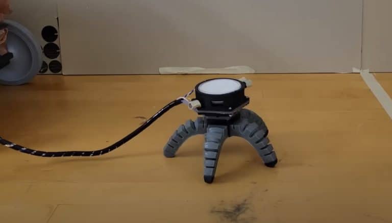 Des scientifiques offrent un corps de robot à un champignon : une expérience fascinante et déconcertante