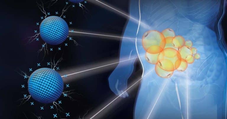 Cette avancée scientifique promet de faire fondre la graisse ciblée comme jamais auparavant grâce à des nanomatériaux révolutionnaires