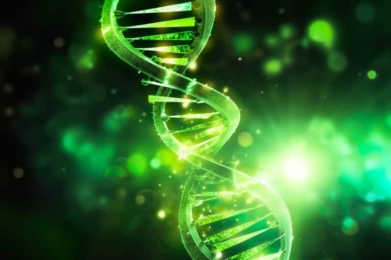 Cette avancée scientifique promet de rallonger notre vie grâce au gène de la longévité des rats-taupes nus