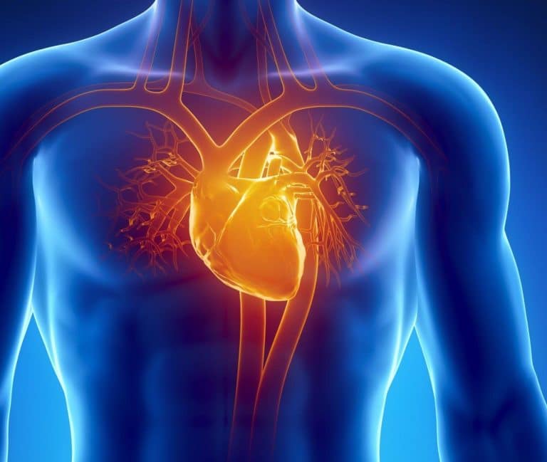 Cette nouvelle étude établit un lien entre l’infection au COVID-19, la vaccination et une maladie cardiaque invalidante