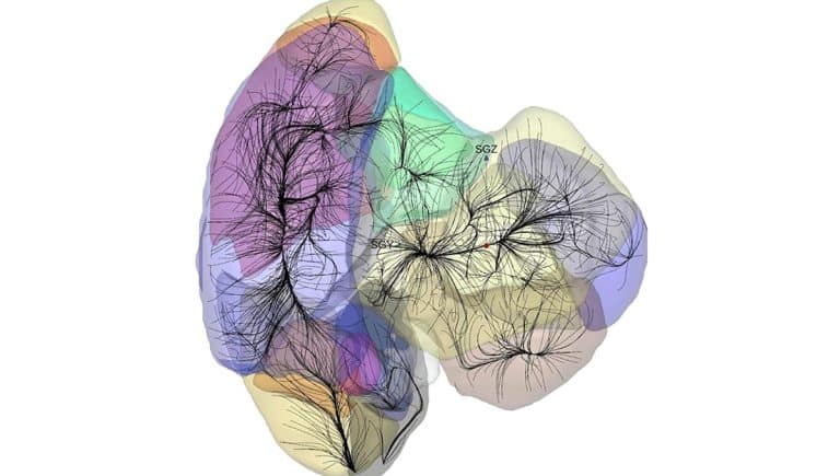 Notre galaxie ferait partie d’une structure si gigantesque qu’elle remet en question nos modèles de la cosmologie