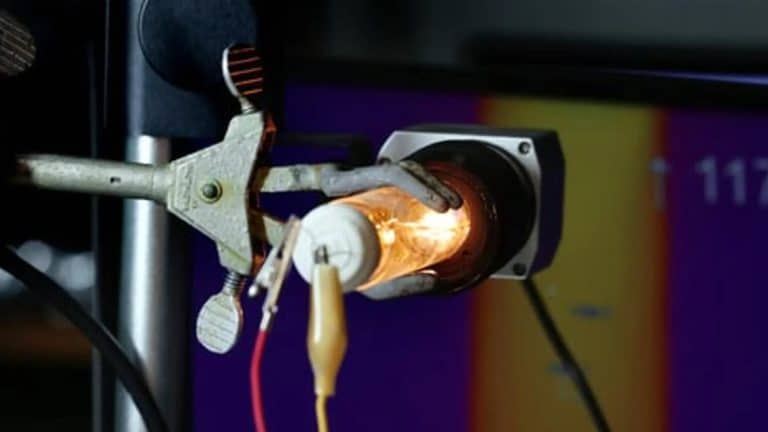 Des scientifiques inventent cette « lumière torsadée » permettant aux robots de voir comme des crevettes-mantes