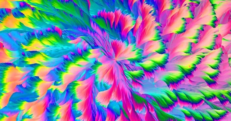 Cette compétition de photos microscopiques célèbre la beauté spectaculaire du monde invisible