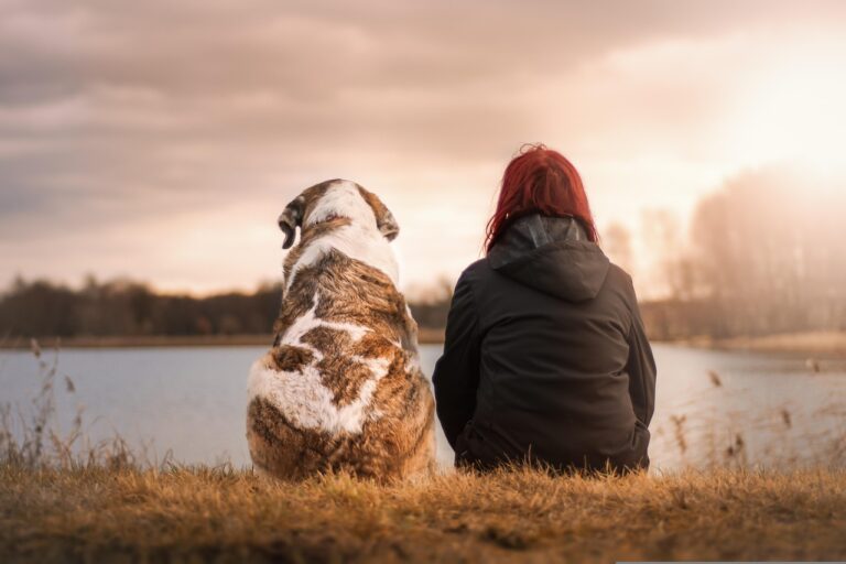 Pourquoi ce chien ressemble-t-il tant à son maître ? La science révèle un lien insoupçonné entre nos personnalités et celles de nos compagnons à quatre pattes