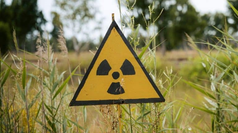 À 17 ans, il surprend les gouvernements en construisant un réacteur nucléaire dans son jardin : un débat mondial est lancé