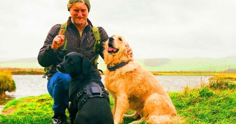« Je ne peux plus perdre mon chien » : ce collier satellite révolutionnaire suit votre animal partout, sans aucune limite
