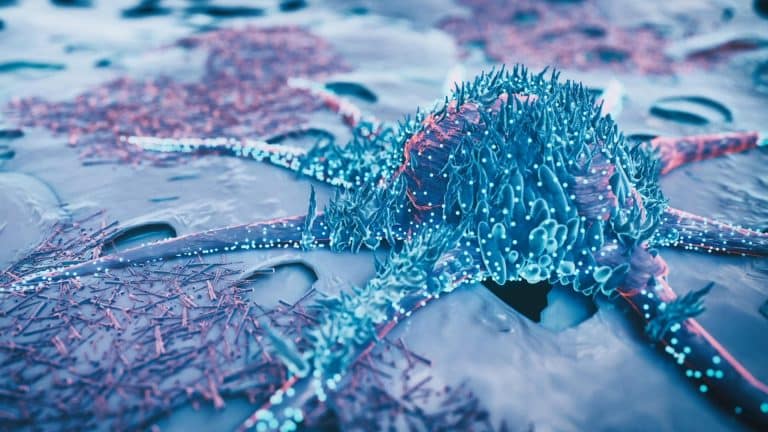 Et si le cancer pouvait s’inverser ? Ce nouveau traitement transforme les cellules tumorales en cellules saines