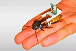 Ces essaims d&rsquo;insectes cyborgs révolutionnent l&rsquo;agriculture et le secours en catastrophe avec une efficacité inégalée