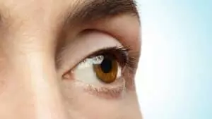 Ces formes mystérieuses dans votre vision : le phénomène optique qui intrigue autant qu’une éclipse solaire