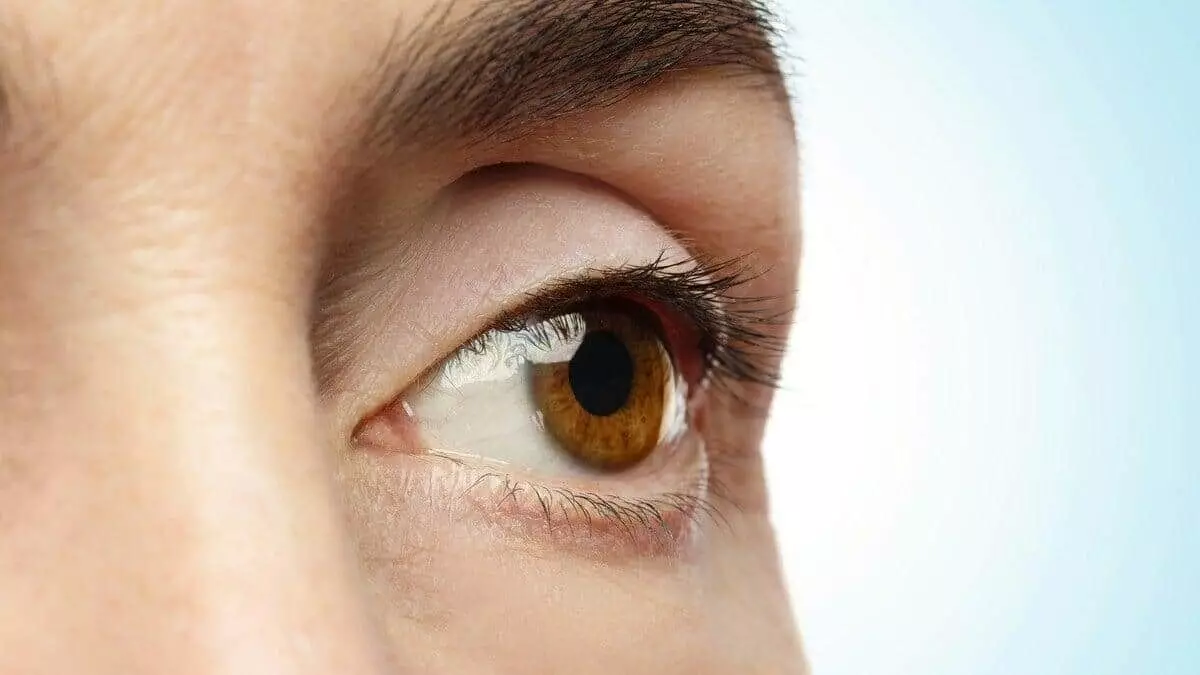 Ces formes mystérieuses dans votre vision : le phénomène optique qui intrigue autant qu’une éclipse solaire