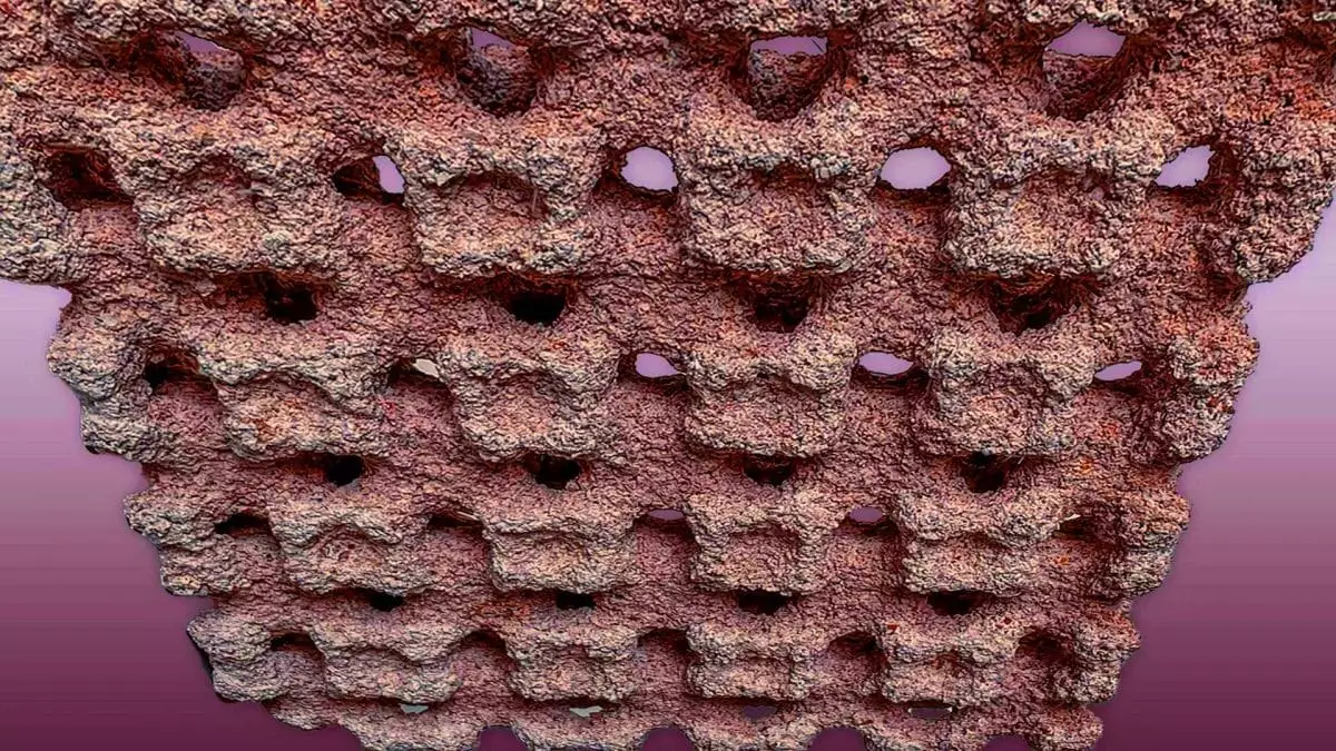 Ces panneaux muraux révolutionnaires absorbent l&rsquo;humidité et réduisent l&rsquo;inconfort de 85 % pour des maisons plus saines