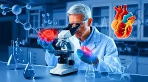 Cette enzyme pourrait stopper les ravages de l'obésité sur le cœur : une percée médicale prometteuse en vue