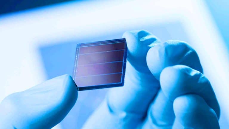 Ces panneaux solaires organiques révolutionnaires promettent jusqu&rsquo;à 16 ans d&rsquo;efficacité inégalée