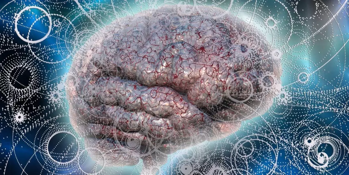 Cette théorie Orch OR pourrait détenir la clé de la conscience humaine : un débat scientifique qui défie l’entendement