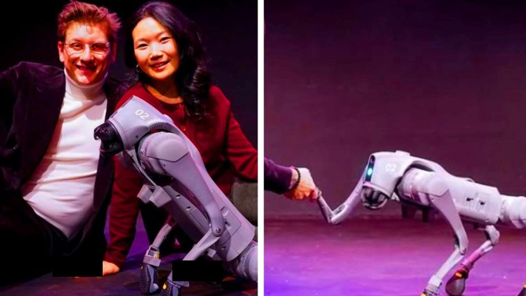 « Le futur du théâtre a quatre pattes » : ce chien-robot chinois s’impose comme la nouvelle star de Broadway