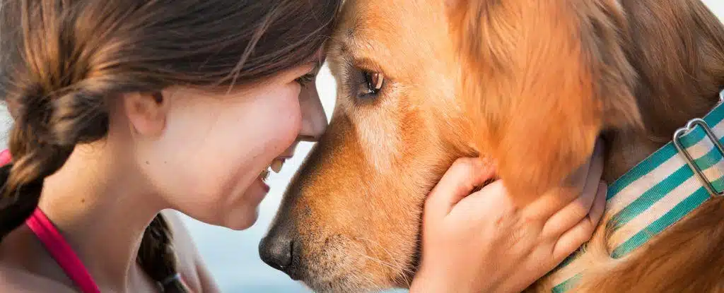 Les cerveaux des chiens se synchronisent avec les nôtres lorsque nous les regardons dans les yeux, selon une étude