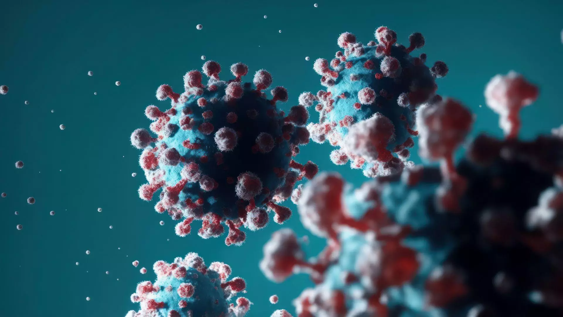 Virus mortel