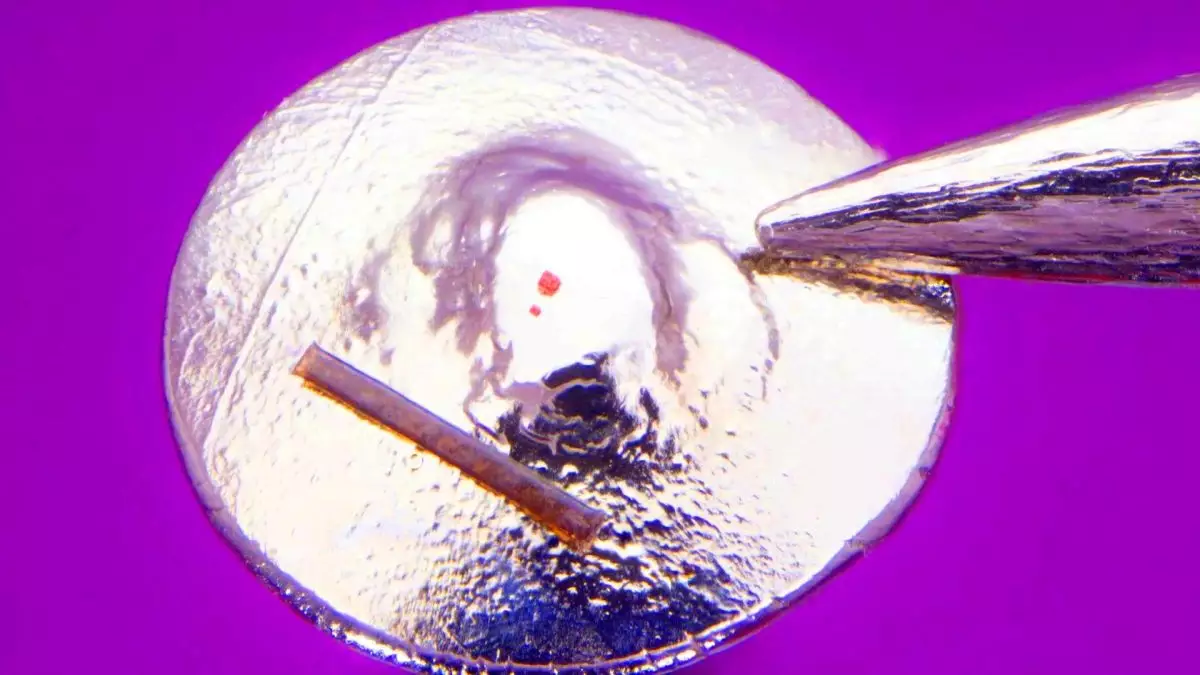 Ce Lego microscopique de 0,025 mm bat tous les records : aussi minuscule qu’un globule blanc, il défie l’œil humain