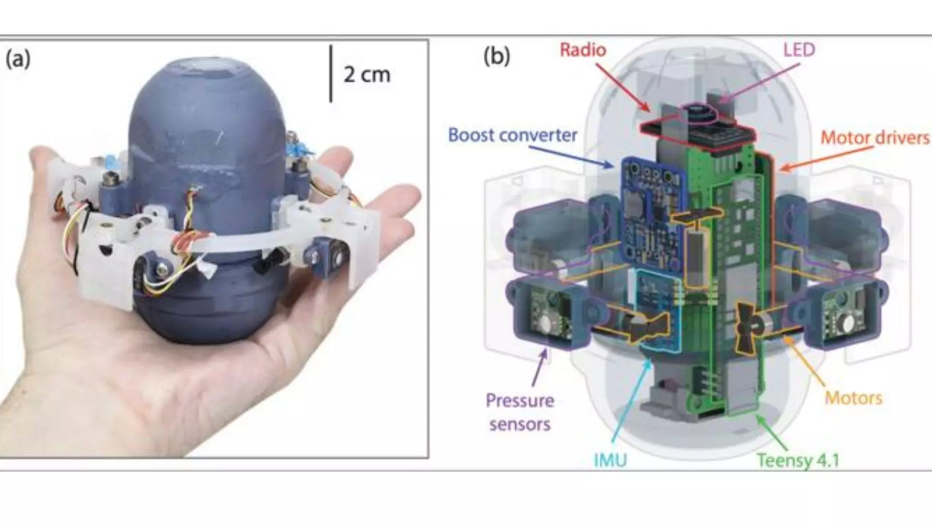 Plans du robot sous-marin CARL conçus par l'équipe de Caltech.
