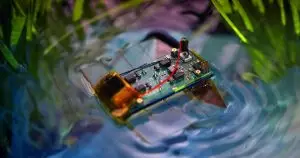 Ce robot aquatique de 6 g, 10 fois plus rapide qu&rsquo;un ver marin, bouleverse la science avec ses nageoires électrisantes