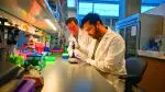 Ce test révolutionnaire PAC-MANN détecte le cancer du pancréas 98% plus tôt, redéfinissant l’avenir médical avec précision et rapidité